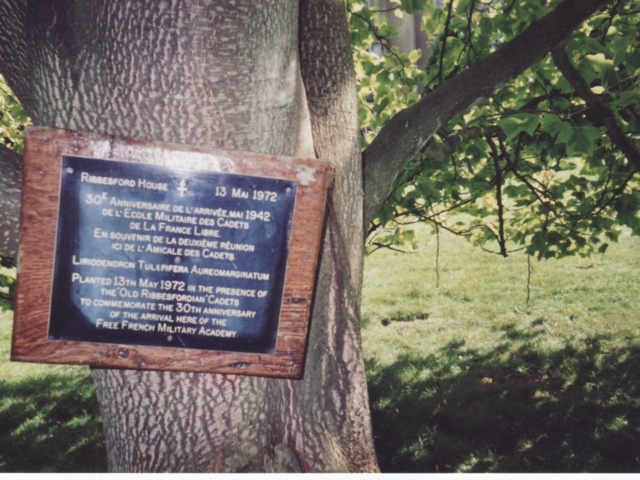 L'arbre a été planté en mai 1972, Trente ans après l'arrivée des Cadets à Ribbesford